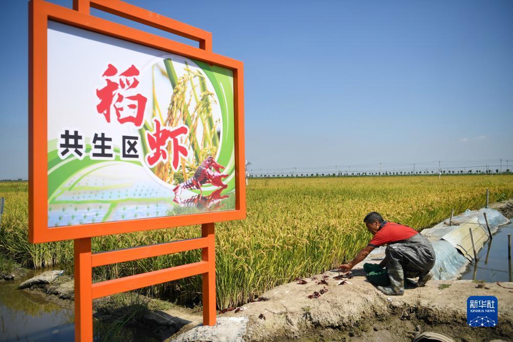 奔驰宝马会员